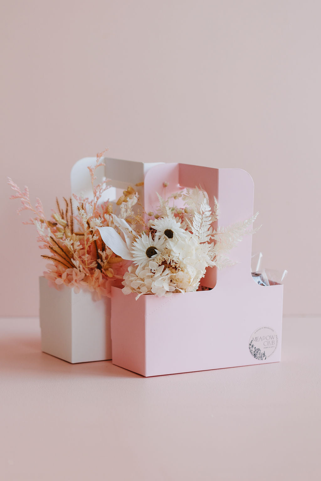 BLOOM & BROWNIE CARRIER