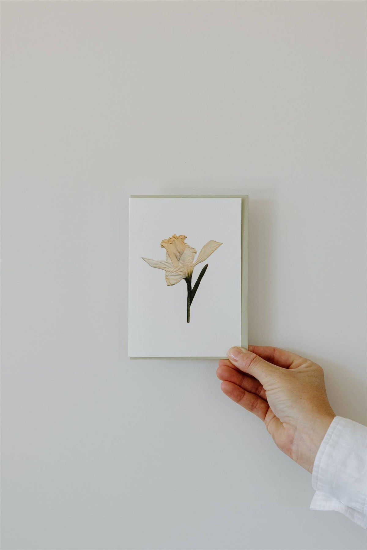 Individual Pressed Flower Card A6