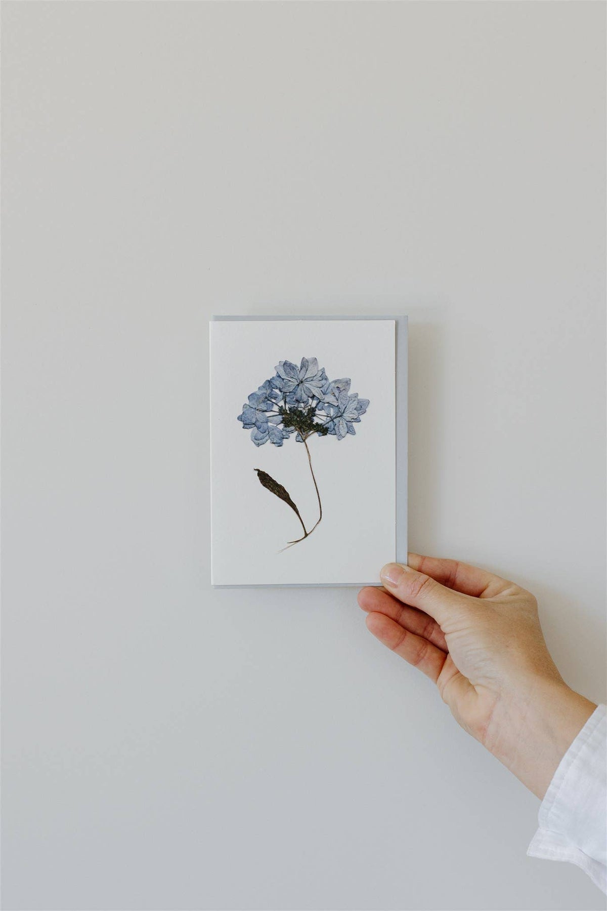 Individual Pressed Flower Card A6
