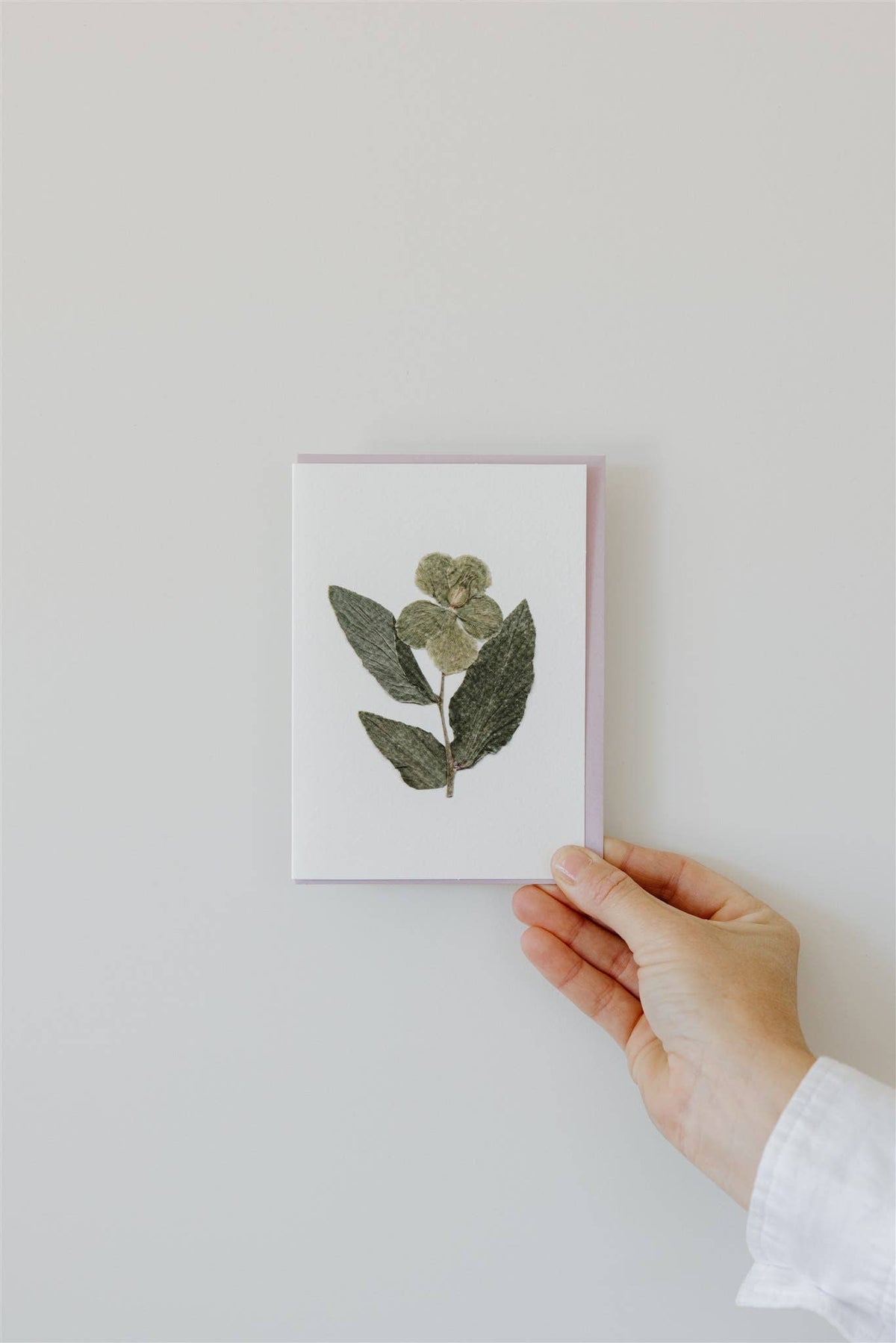 Individual Pressed Flower Card A6