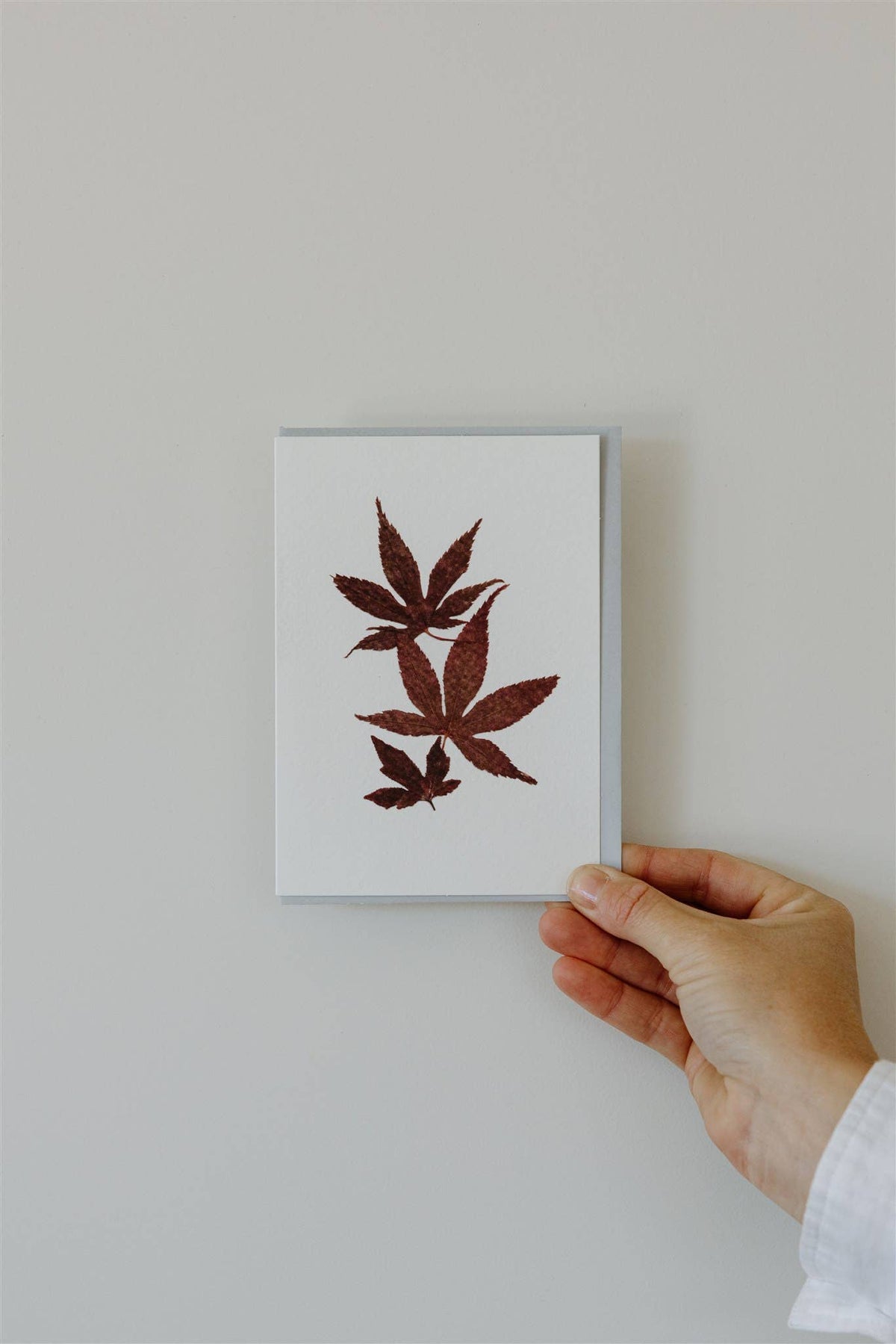 Individual Pressed Flower Card A6