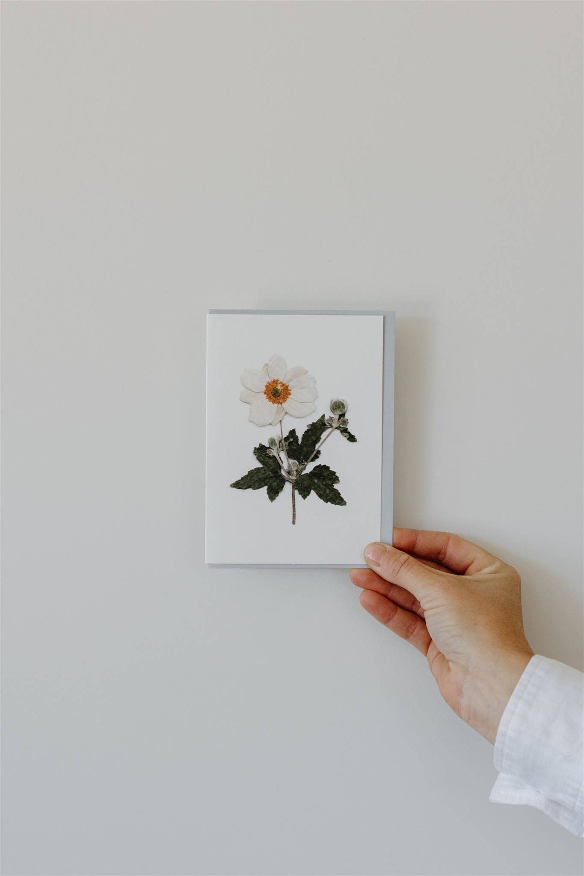Individual Pressed Flower Card A6