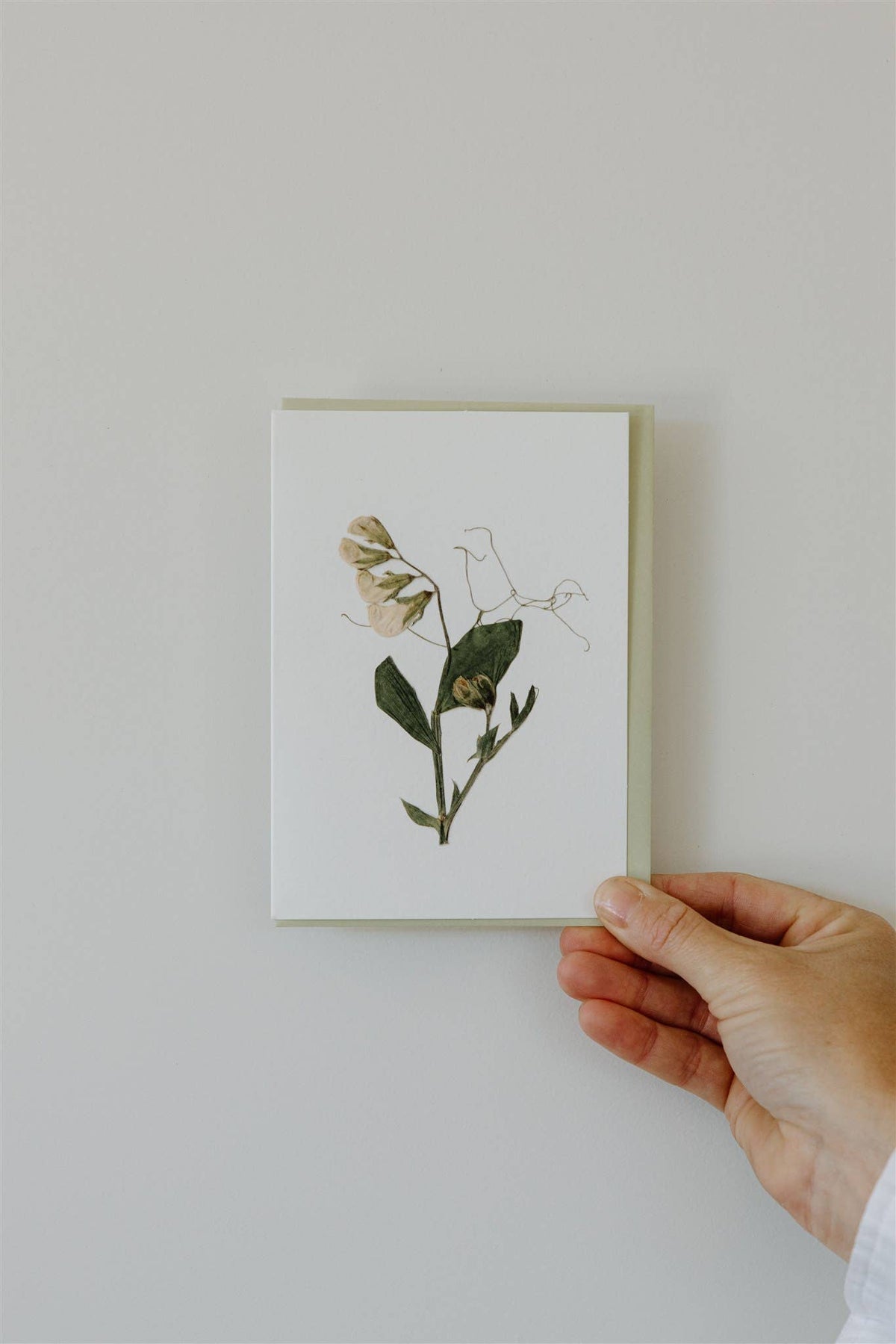 Individual Pressed Flower Card A6