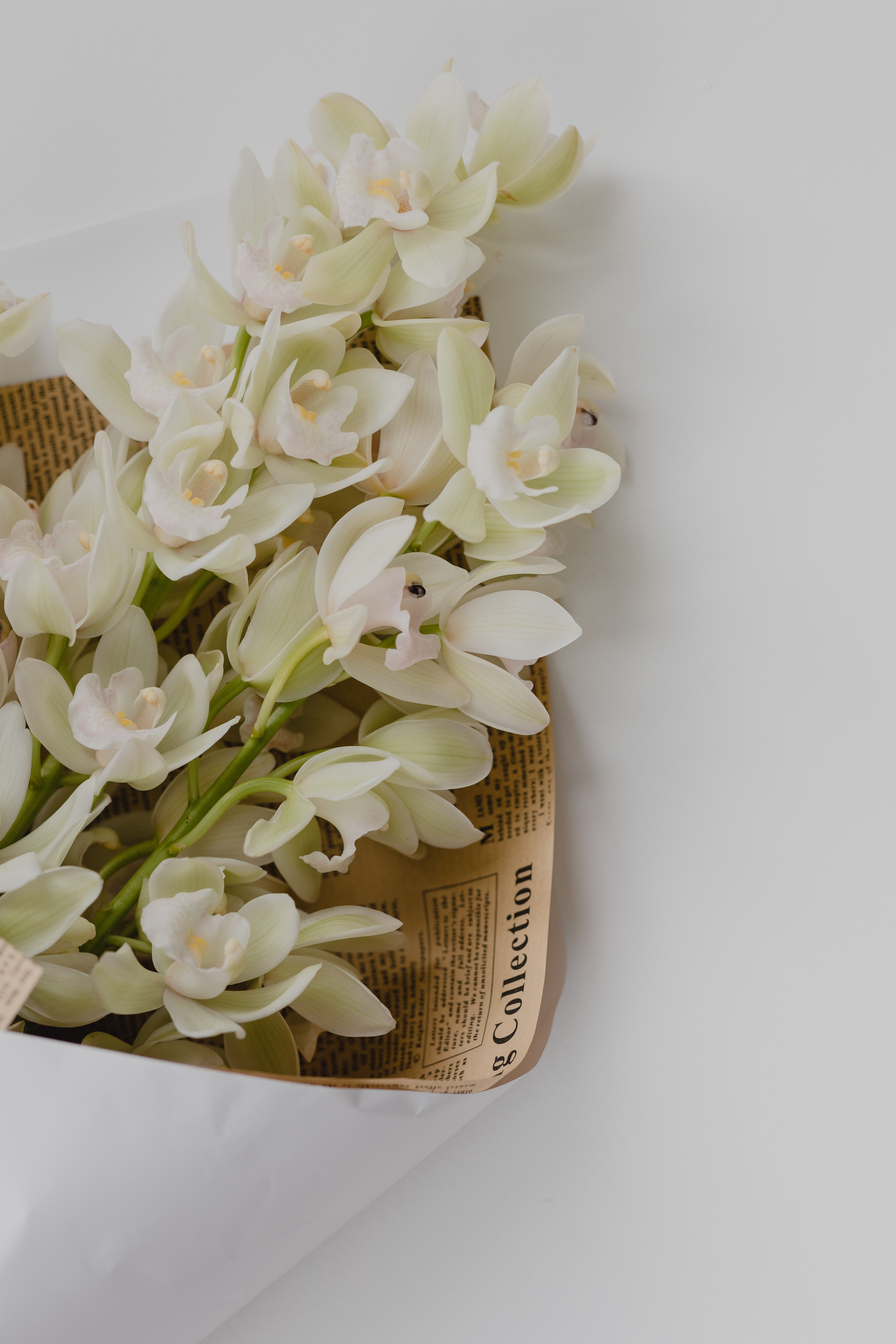 CYMBIDIUM BOUQUET